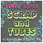 Scraps & Tubes
