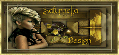 Saturnella Design